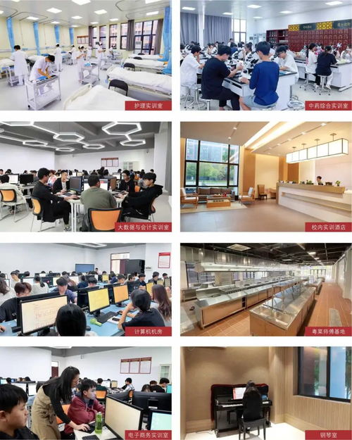 廣東酒店管理職業(yè)技術(shù)學(xué)院2024年春季高考餐飲管理專業(yè)詳解 開(kāi)啟酒店服務(wù)業(yè)職業(yè)新篇章