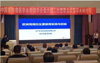 科技驅(qū)動未來 禾豐九月技術(shù)交流活動助推行業(yè)創(chuàng)新